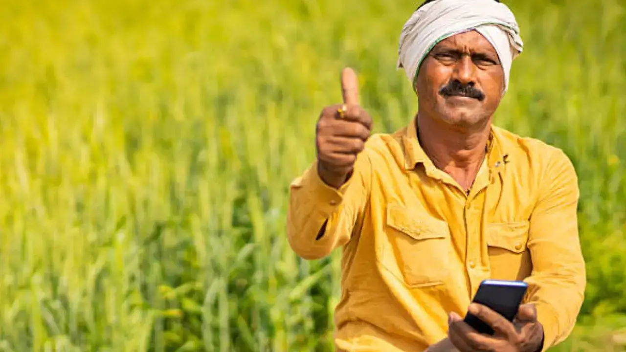 PM Kisan Yojana से पहले किसानों को बड़ा तोहफा, कच्चे जूट की MSP बढ़ी, अब मिलेगा ज्यादा दाम और सीधा फायदा