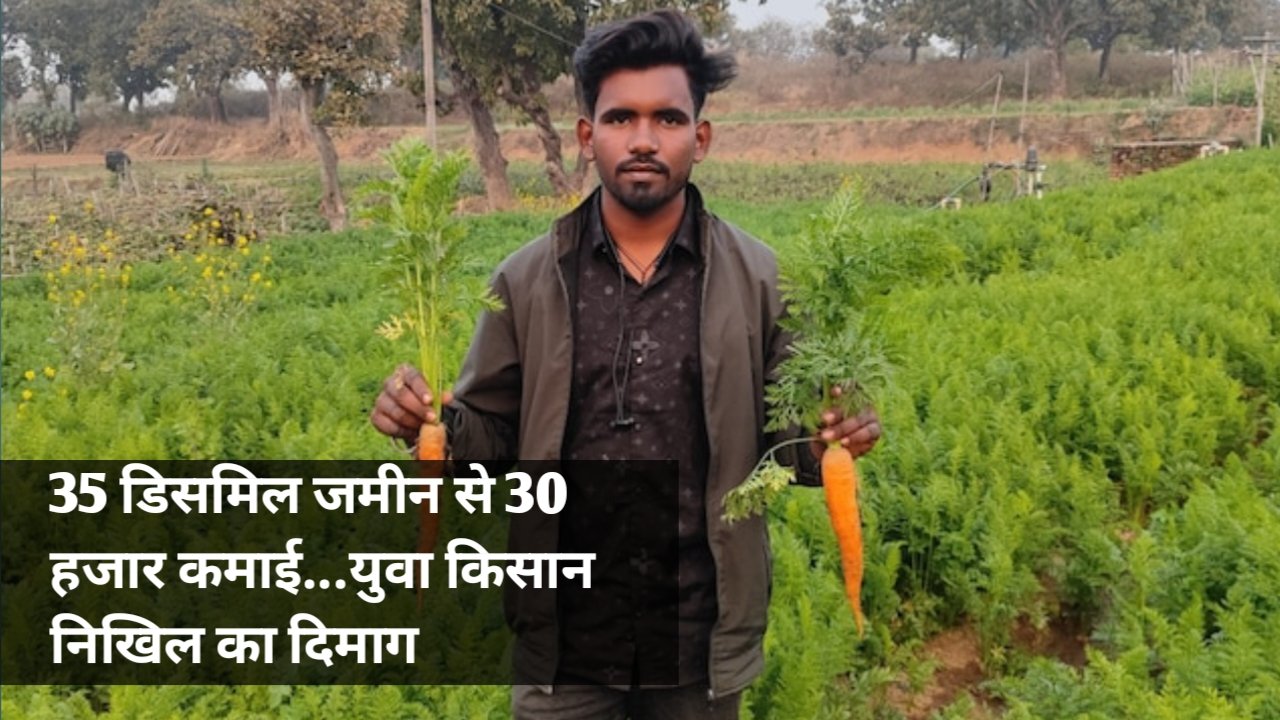 35 डिसमिल जमीन से 30 हजार की कमाई, 50 दिन में युवा किसान निखिल का तीन गुना मुनाफा