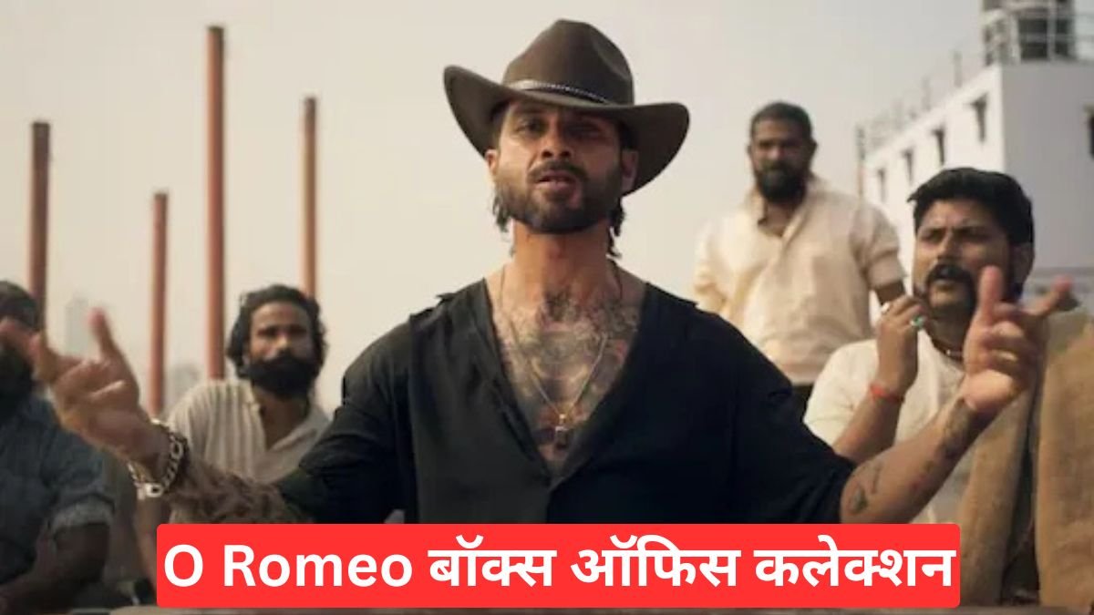 O Romeo बॉक्स ऑफिस पर तूफान, तीसरे दिन पार किए 30 करोड़, क्या चौथे दिन टूटेगा नया रिकॉर्ड