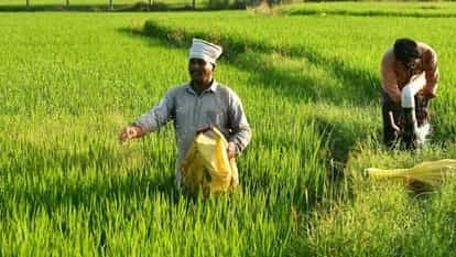 ईरान-इजरायल युद्ध से भारत में यूरिया उत्पादन घटा, किसानों के लिए बड़ा संकट संकेत