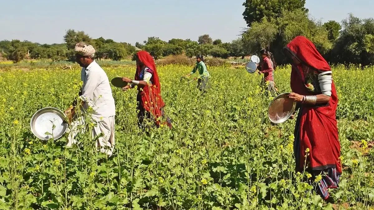 PM किसान योजना 2026: 23वीं किस्त की तारीख को लेकर बड़ा अपडेट